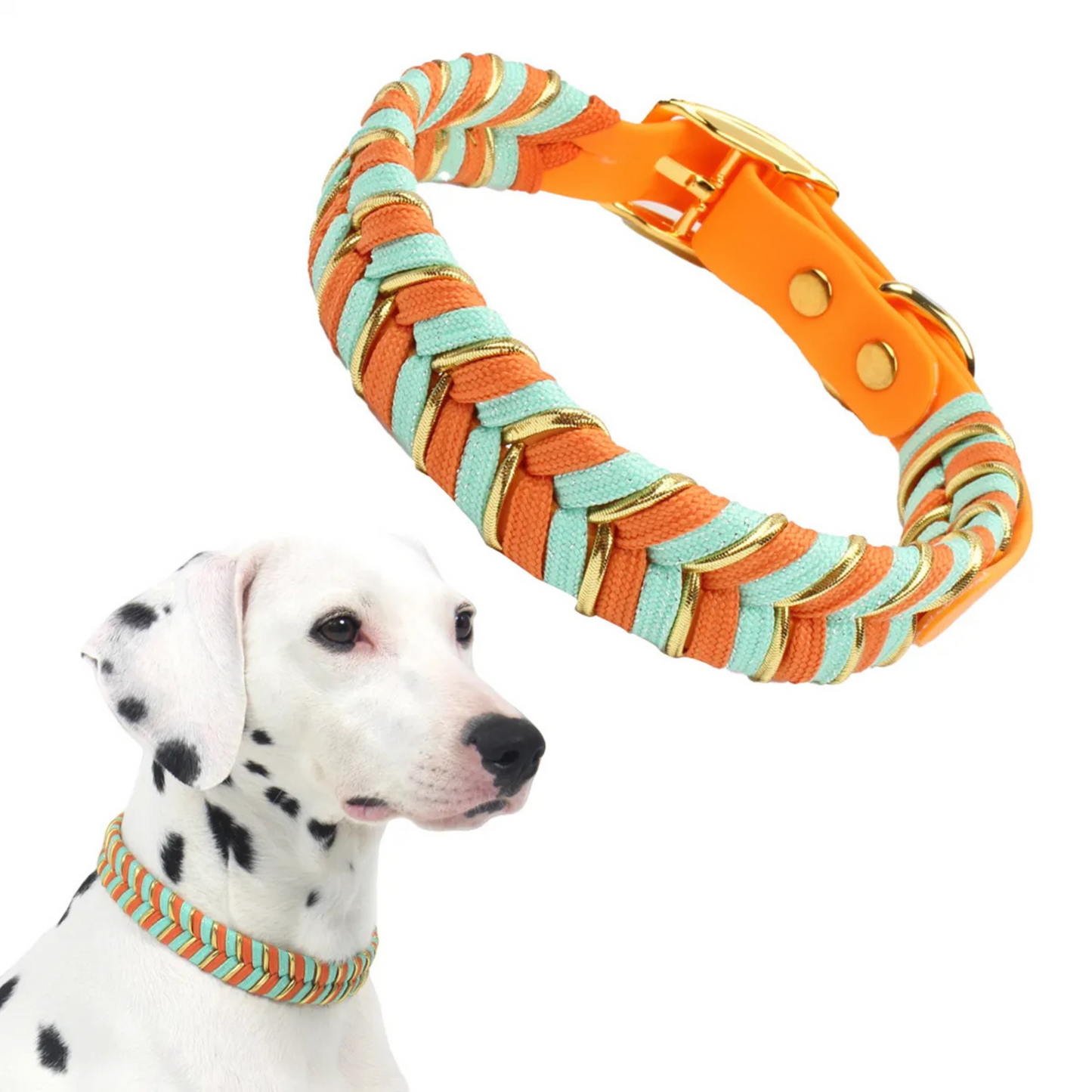 Albcorp Handmade PVC Coated Dog Collar | Luxury Braided Waterproof Collar for Small to Large Dogs | Adjustable, Durable & Easy to Clean | Stylish Design for Walks & Training