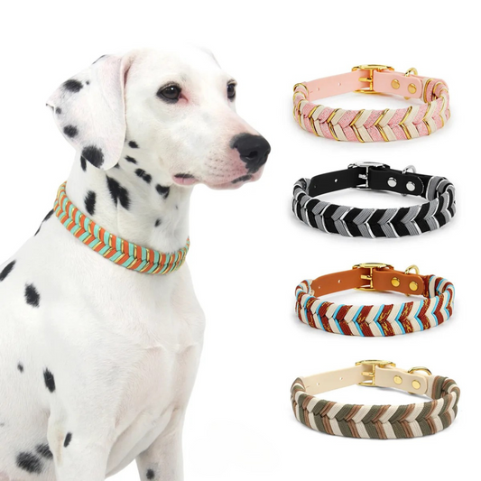 Albcorp Handmade PVC Coated Dog Collar | Luxury Braided Waterproof Collar for Small to Large Dogs | Adjustable, Durable & Easy to Clean | Stylish Design for Walks & Training