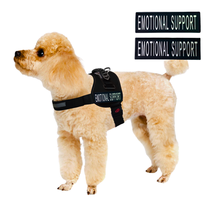 ALBCORP Service Dog Vest Harness - Reflective - Woven Polyester and Nylon, Comfy Mesh Padding - Sizes from XXS to XL – Service Dog Patches Included.-Dog Vest Harness-AlbCorpShop