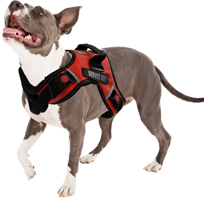 ALBCORP Service Dog Vest Harness - Reflective - Woven Polyester and Nylon, Comfy Mesh Padding - Sizes from XXS to XL – Service Dog Patches Included.-Dog Vest Harness-AlbCorpShop