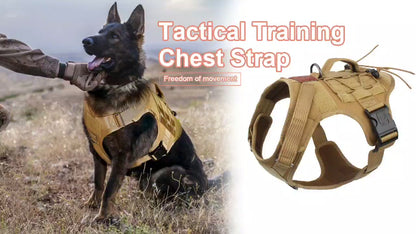 ALBCORP Service Dog Vest Harness - Reflective - Woven Polyester and Nylon, Comfy Mesh Padding - Sizes from XXS to XL – Service Dog Patches Included.